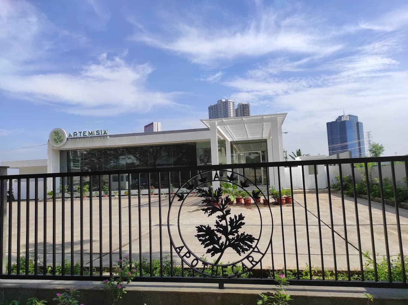 Sejarah Klinik Artemisia